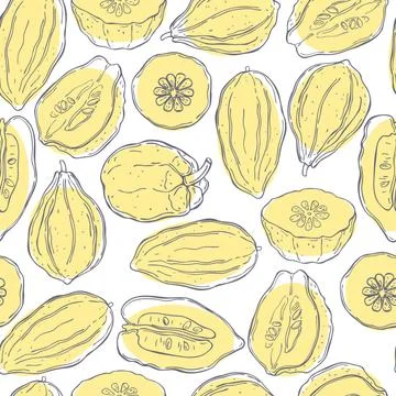 Vector seamless  pattern with citron Illustrazione stock