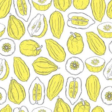 Vector seamless  pattern with citron Illustrazione stock