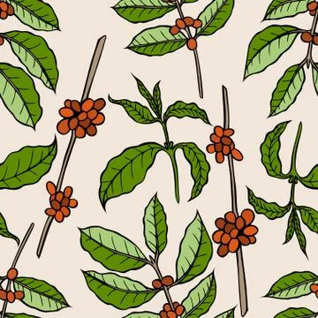 Vector seamless pattern of cocoa beans 库存插图