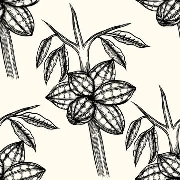 Vector seamless pattern of cocoa Stock Illustration