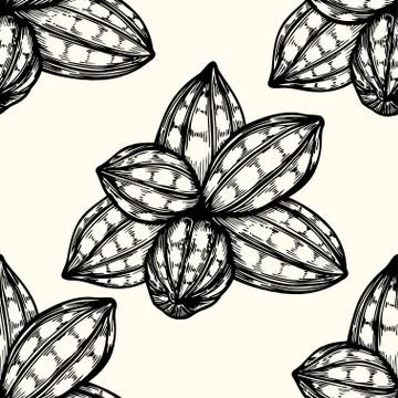 Vector seamless pattern of cocoa Stock Illustration