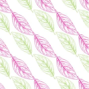 Vector seamless pattern with colored outline leaves on a white background.  스톡 일러스트