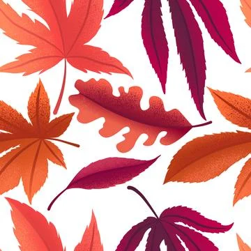 Vector seamless pattern with colorful autumn leaves isolated on white backg.. Stock Illustration