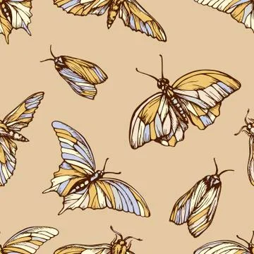 Vector seamless pattern with colorful butterflies . Stylish graphic texture Stock Illustration