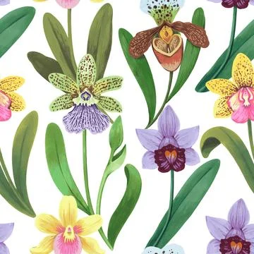Vector seamless pattern with colorful psychedelic orchid flowers. Hand drawn Stock Illustration