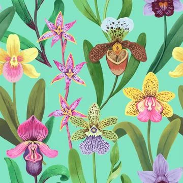 Vector seamless pattern with colorful psychedelic orchid flowers. Hand drawn 스톡 일러스트