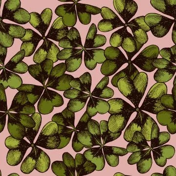 Vector seamless pattern with compositions of hand drawn oxalis 스톡 일러스트