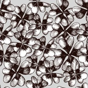 Vector seamless pattern with compositions of hand drawn oxalis monochrome Stock Illustration