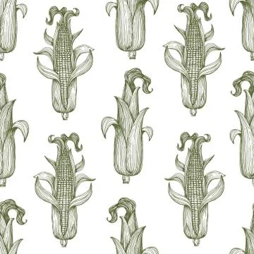 Vector seamless pattern with corn on the cob with leaves. Vintage engraved Illustrazione stock