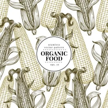 Vector seamless pattern with corn on the cob with leaves. Vintage engraved Stock Illustration