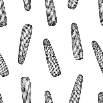 Vector seamless pattern with corn on the cob. Vintage engraved illustration.  Stock Illustration