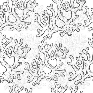 Vector seamless pattern corrals. Polyps monochrome black white outline sketch Stock-Illustration