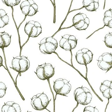 Vector seamless pattern with cotton branches. Hand-drawn ink illustration. Stock Illustration