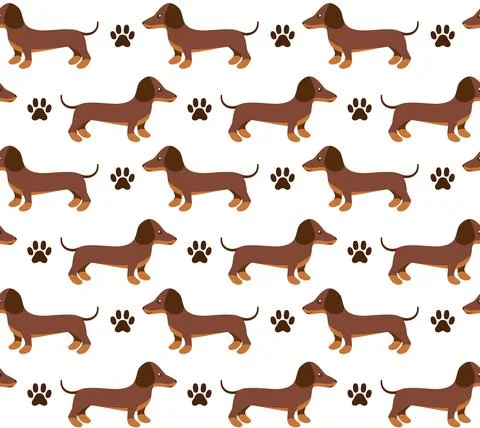 Vector seamless pattern in dachshund for print and web design on white backgr Stock Illustration