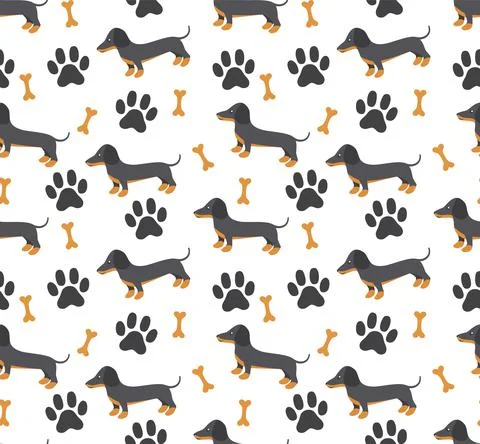 Vector seamless pattern in dachshund for print and web design on white backgr Stock Illustration