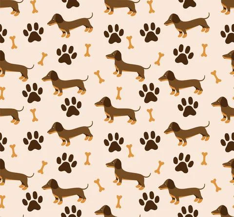 Vector seamless pattern in dachshund for print and web design on white backgr Stock Illustration