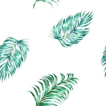 Vector seamless pattern of different green tropical palm leaves isolated on Stock-Illustration
