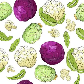 Vector seamless pattern with different kind of cabbage isolate on white backg Stock Illustration