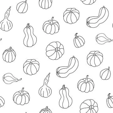 Vector seamless pattern with doodle sketch pumpkins on white. Stock Illustration