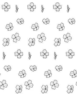 Vector Seamless Pattern with Drawn Flowers, Blossom Illustrazione stock