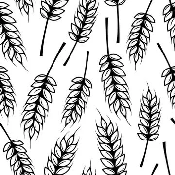 Vector seamless pattern with ears of wheat 스톡 일러스트