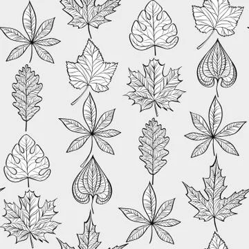 Vector Seamless Pattern with Fall Different Leaves Stock Illustration