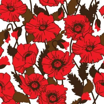 Vector seamless pattern with field poppies. Stock Illustration