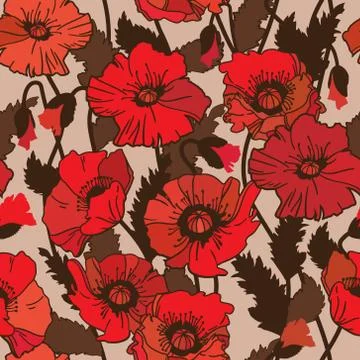 Vector seamless pattern with field poppies. Stock Illustration
