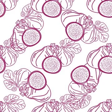 Vector seamless pattern of figs, design lines abstract illustration. Whole an Stock Illustration