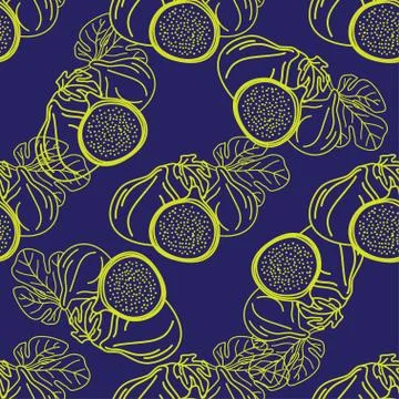 Vector seamless pattern of figs, design lines abstract illustration. Whole an Stock Illustration