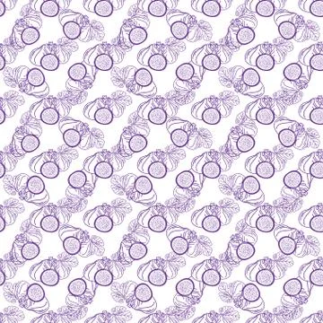 Vector seamless pattern of figs, design lines abstract illustration. Whole an Stock Illustration