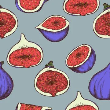 Vector seamless pattern of figs. Hand drawn vector illustration Stock Illustration