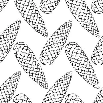 Vector seamless pattern with fir spruce cone in doodle style. Nature forest b Illustrazione stock