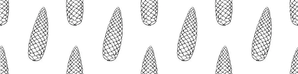 Vector seamless pattern with fir spruce cone in doodle style. Nature forest b Stock Illustration
