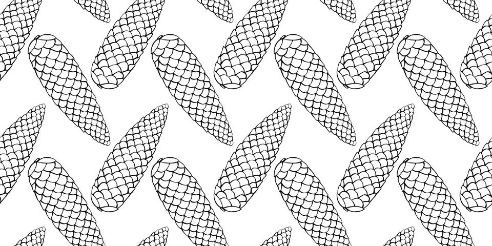 Vector seamless pattern with fir spruce cone in doodle style. Nature forest b Illustrazione stock