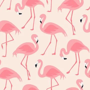 Vector seamless pattern with flamingos 스톡 일러스트