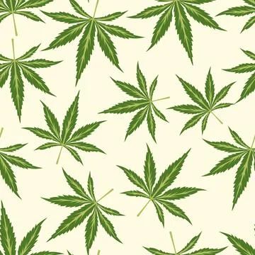 Vector Seamless Pattern with Flat Cannabis Leaves. Hemp, Cannabis Green Leaf on Illustrazione stock