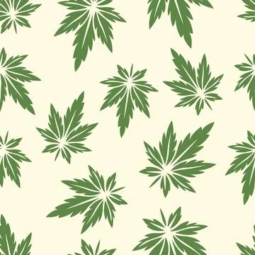 Vector Seamless Pattern with Flat Cannabis Leaves. Hemp, Cannabis Green Leaf on Illustrazione stock