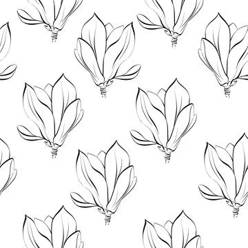 Vector seamless pattern flower of Magnolia. Blooming graphics flora. Paris 스톡 일러스트