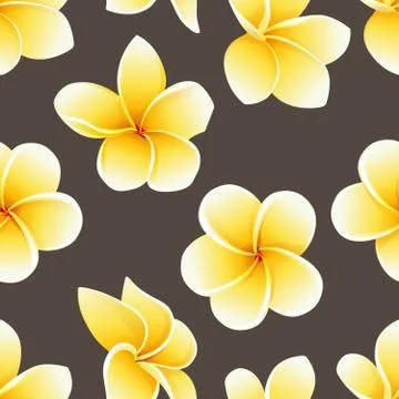 Vector seamless pattern with flower of Plumeria or Frangipani on the brown Stock-Illustration