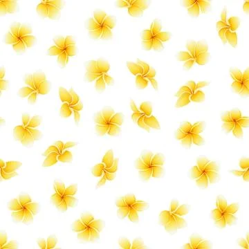 Vector seamless pattern with flower of Plumeria or Frangipani on the white Illustration