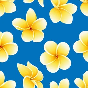 Vector seamless pattern with flower of Plumeria or Frangipani on the blue 스톡 일러스트
