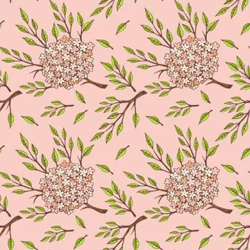 Vector seamless pattern with flowers and floral elements. Stock Illustration