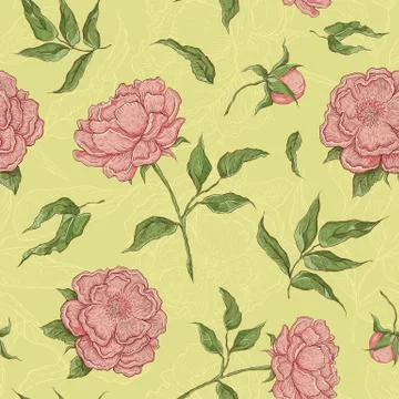 Vector seamless pattern flowers. Blooming peony with an open and a closed bud Stock Illustration