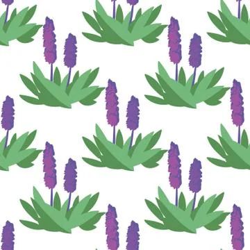 Vector seamless pattern with flowers violet color on white Stock Illustration