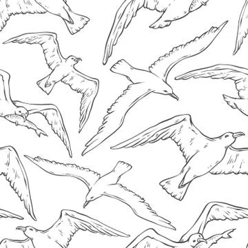 Vector seamless pattern flying seagulls. Bird gull angler black white Stock Illustration