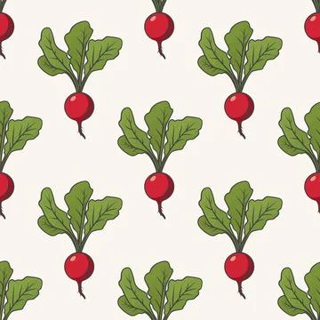 Vector Seamless Pattern with Fresh Red Radish on White Background. Radish 스톡 일러스트