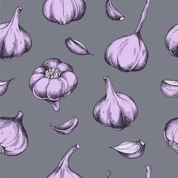 Vector seamless pattern of garlic. Hand drawn vector illustration 스톡 일러스트