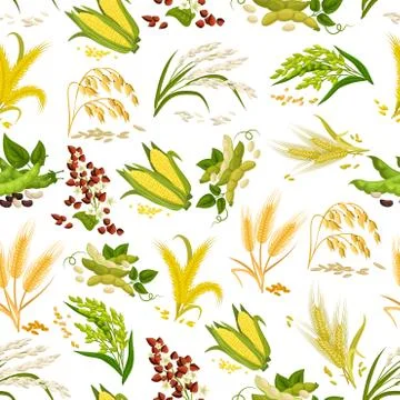 Vector seamless pattern of grain and cereals Stock Illustration