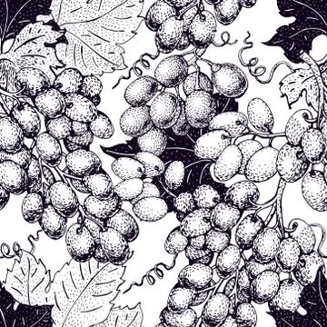 Vector seamless pattern with grape. Can be use for background, design, invi.. Stock Illustration